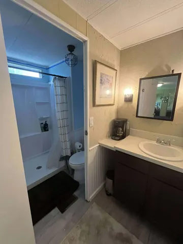 a bathroom with a double vanity sink toilet and shower