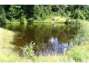 - Dimick Road Hardwick, VT 05843 - Photo 2 of 8 Gallery Image 2