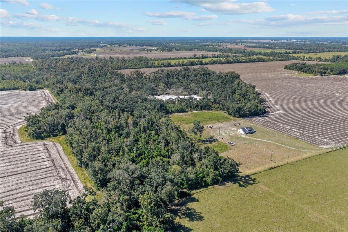 435 Southwest Brown Cemetary Road Mayo, FL 32066 - Photo 24 of 59