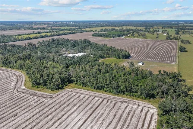 $485,000 | 435 Southwest Brown Cemetary Road, Mayo, FL 32066