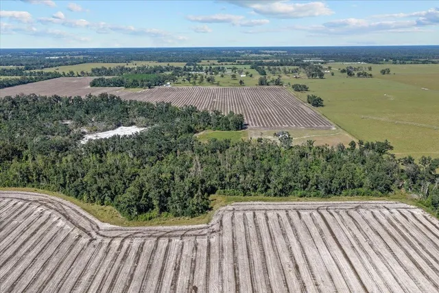 $485,000 | 435 Southwest Brown Cemetary Road, Mayo, FL 32066