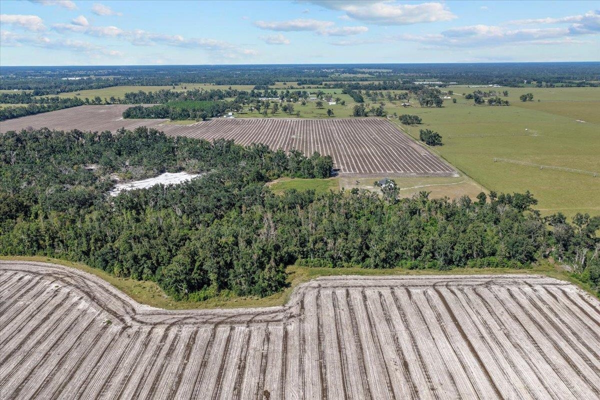 435 Southwest Brown Cemetary Road Mayo, FL 32066 - Photo 26 of 59