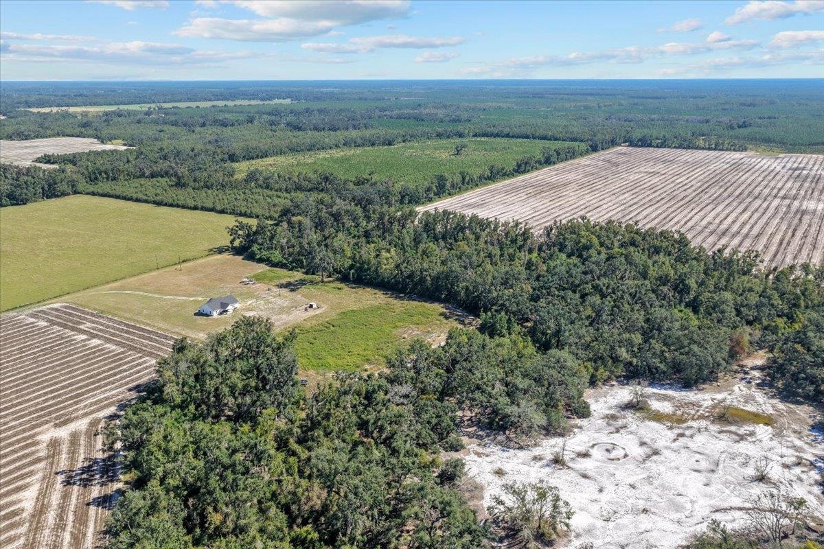 435 Southwest Brown Cemetary Road Mayo, FL 32066 - Photo 29 of 59