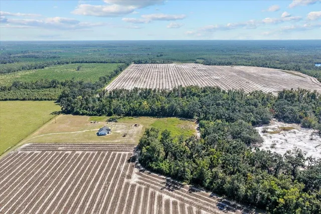 $485,000 | 435 Southwest Brown Cemetary Road, Mayo, FL 32066