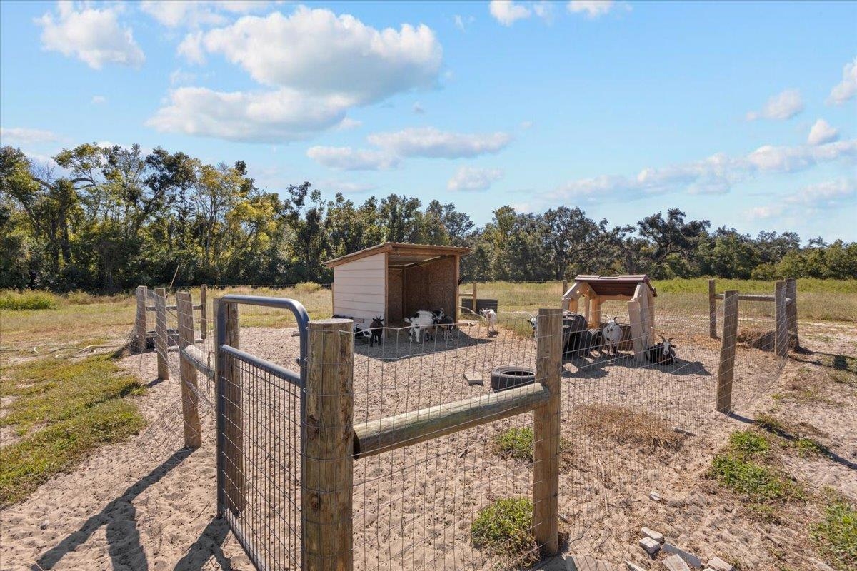 435 Southwest Brown Cemetary Road Mayo, FL 32066 - Photo 9 of 59