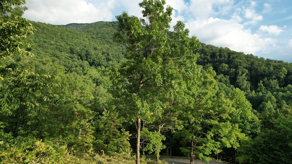 0 Trapper John Way Sevierville, TN 37862 - Photo 10 of 18