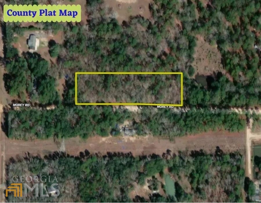 0 Morey Road Albany, GA 31705 - Photo 1 of 1 Gallery Image 1