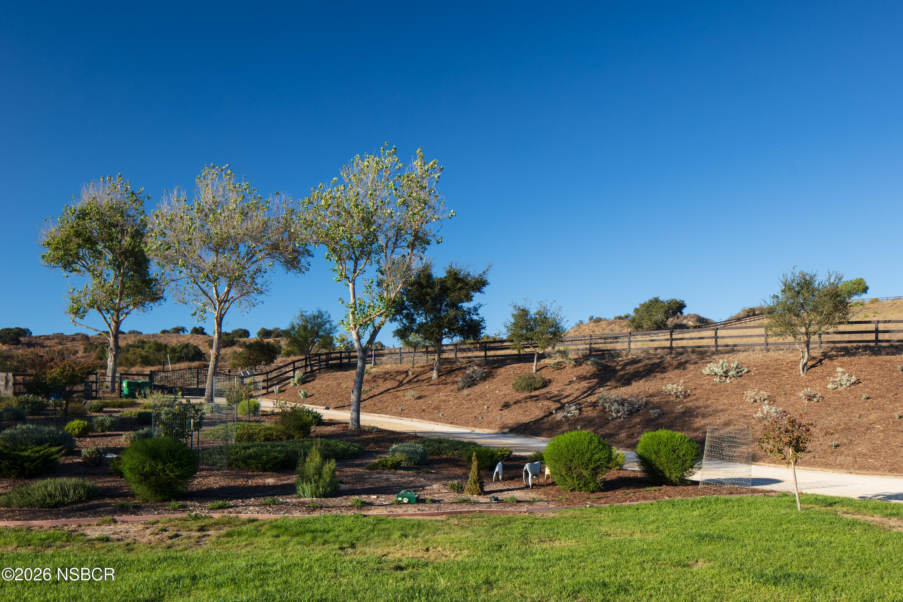 1799 Cougar Ridge Road Buellton, CA 93427 - Photo 55 of 56 Landscaped Grounds