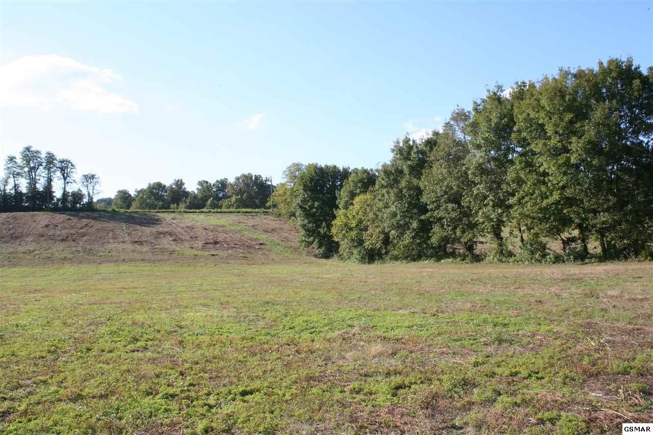 0 Holders Grove Road Cosby, TN 37722 - Photo 23 of 25 Gallery Image 23