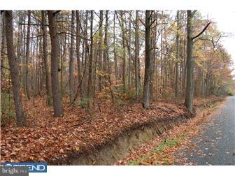 2 Shady Bridge Road Marydel, DE 19964 - Photo 2 of 2 Gallery Image 2