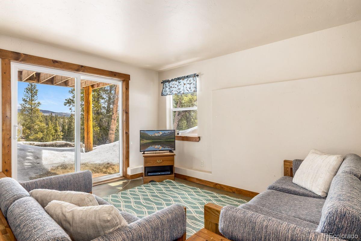 319 Pine Ridge Road Fairplay, CO 80440 - Photo 26 of 37 Gallery Image 26