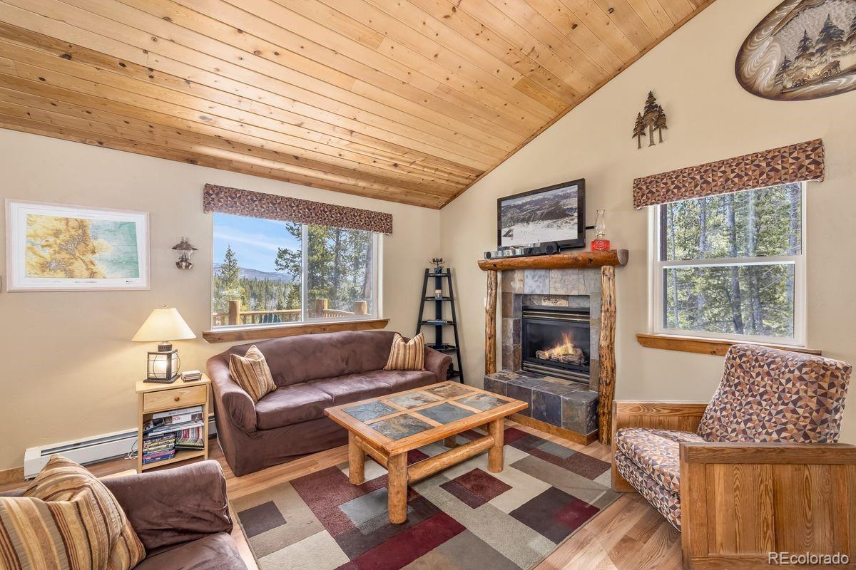 319 Pine Ridge Road Fairplay, CO 80440 - Photo 5 of 37 Gallery Image 5