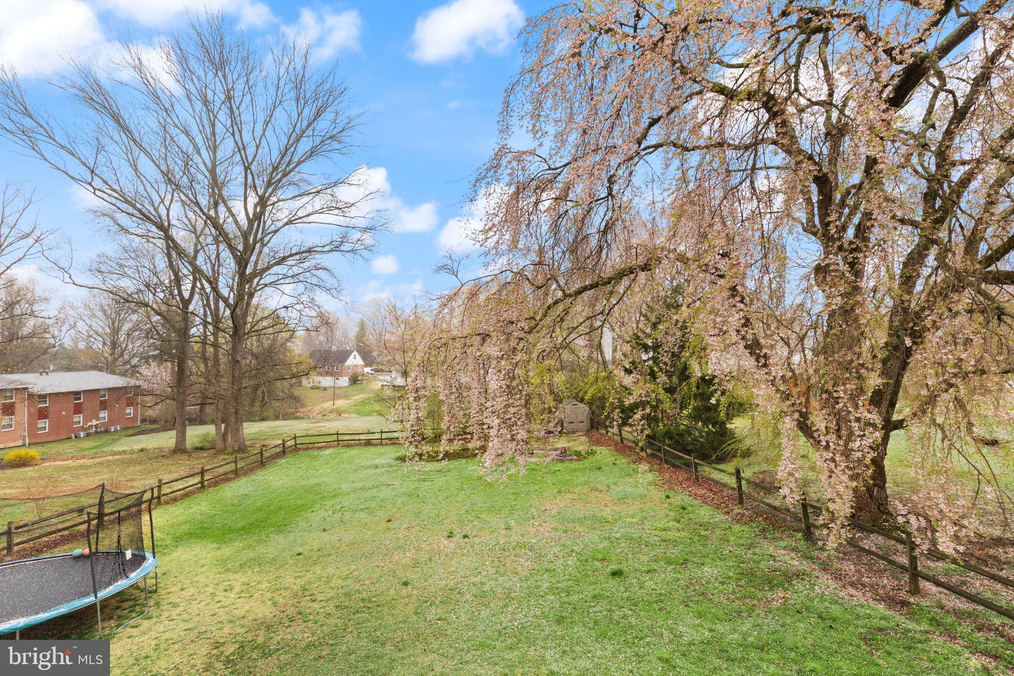 817 Tydings Road Havre de Grace, MD 21078 - Photo 34 of 42 Serene backyard with lush greenery.