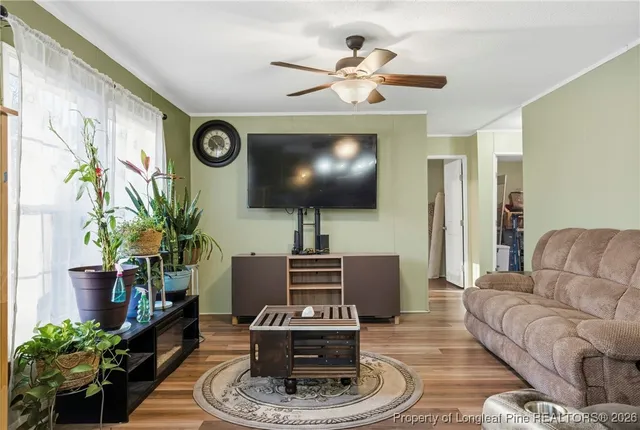 a living room with furniture and a potted plant