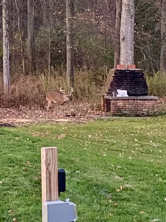 $278,000 | 45867 Wear Road, Belleville, MI 48111