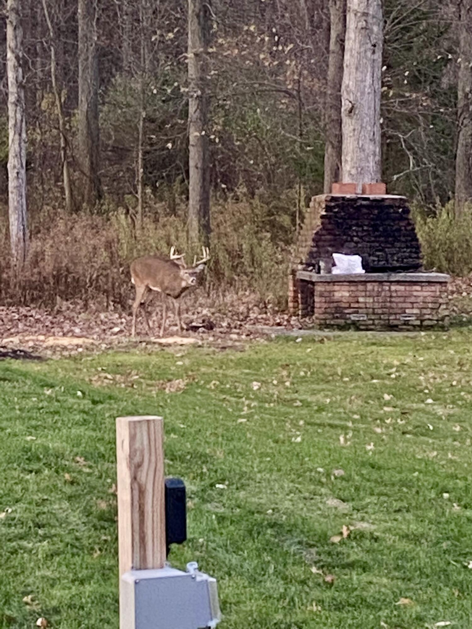 45867 Wear Road Belleville, MI 48111 - Photo 30 of 43 A65047F4-4BCA-4FCE-8AD9-EA1698658B1D