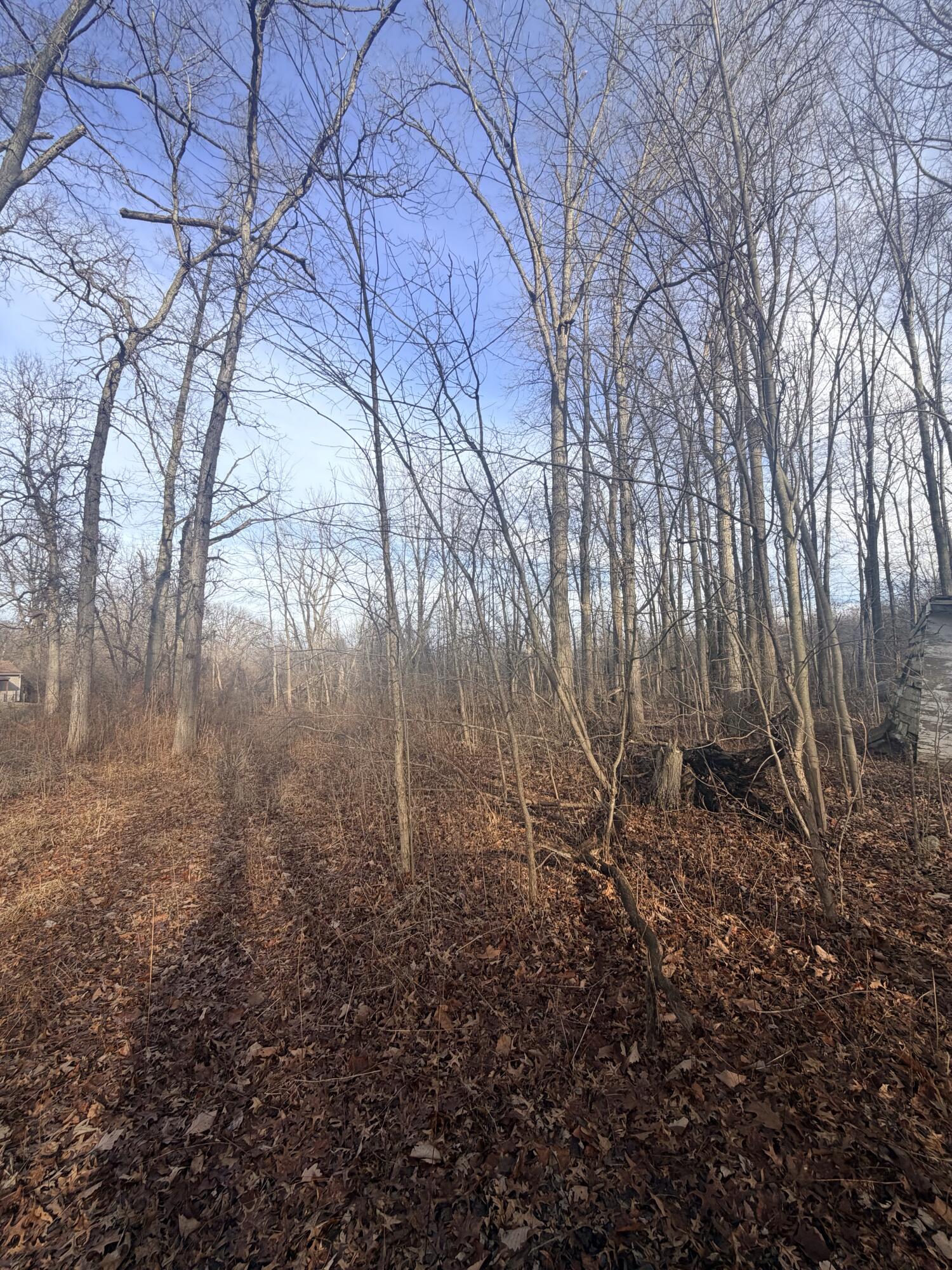 45867 Wear Road Belleville, MI 48111 - Photo 38 of 43 A6B1602C-61A6-4969-9BC2-B3495392E1AF