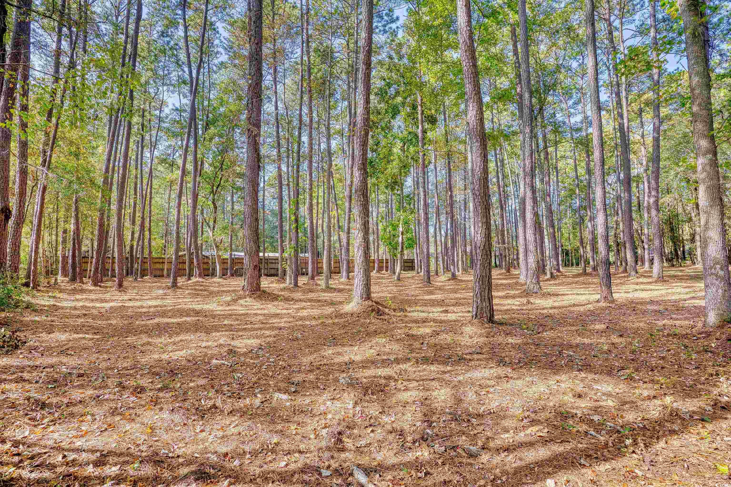 4250 Lilac Road Myrtle Beach, SC 29588 - Photo 12 of 36 View of yard with a view of trees