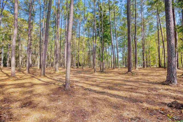 $435,000 | 4250 Lilac Road, Myrtle Beach, SC 29588