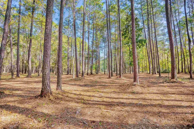 $435,000 | 4250 Lilac Road, Myrtle Beach, SC 29588