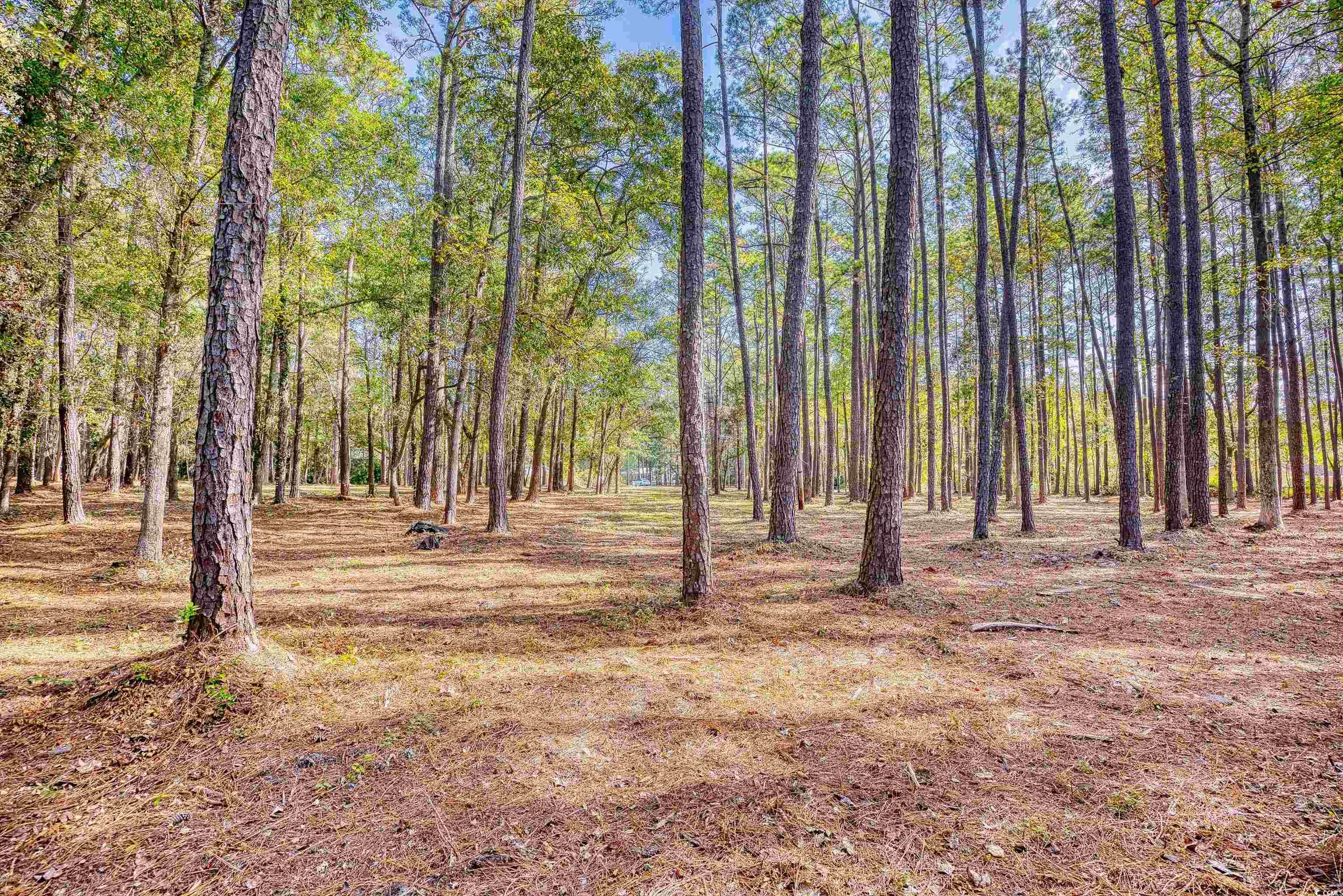 4250 Lilac Road Myrtle Beach, SC 29588 - Photo 16 of 36 View of woods