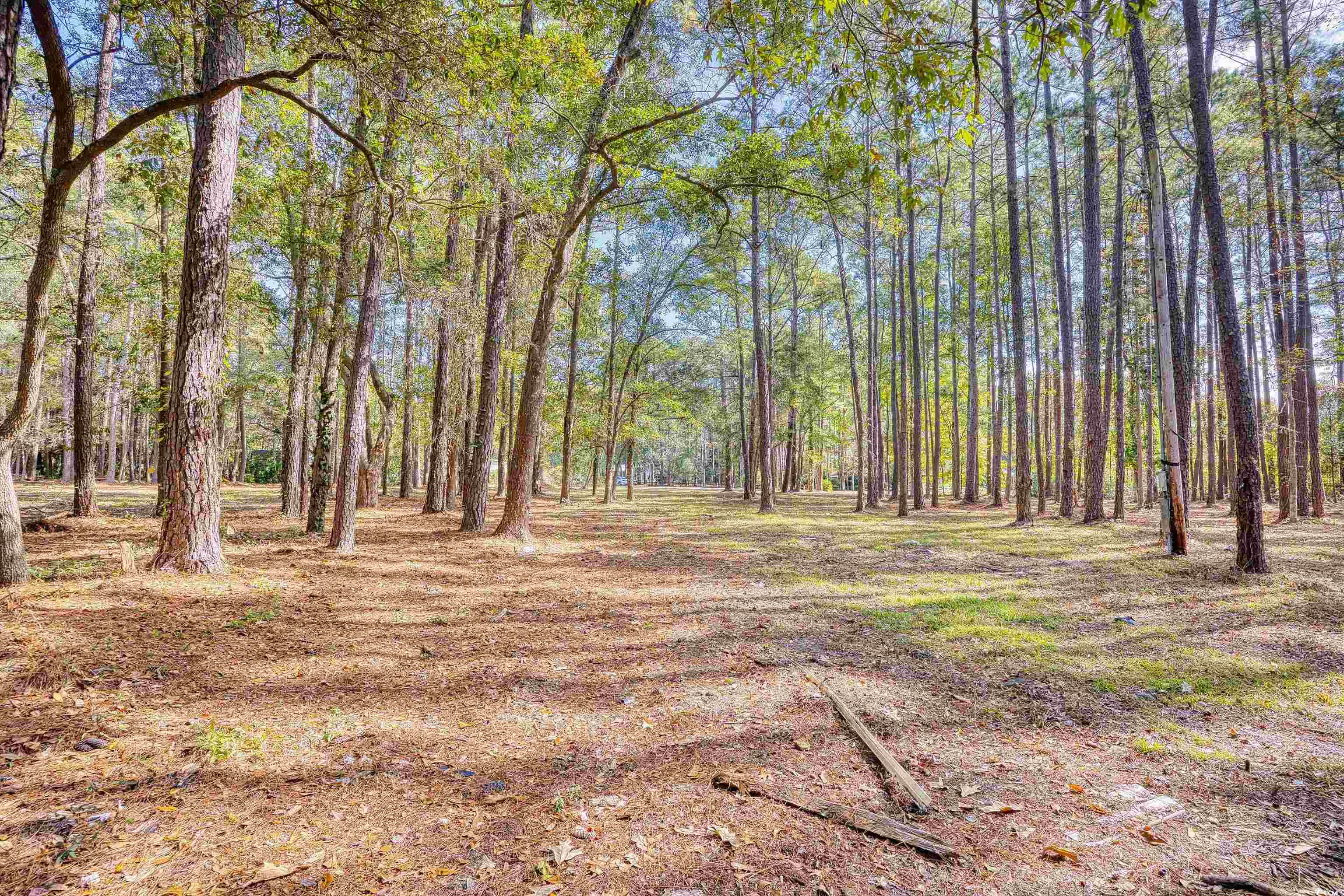 4250 Lilac Road Myrtle Beach, SC 29588 - Photo 18 of 36 View of yard with a view of trees