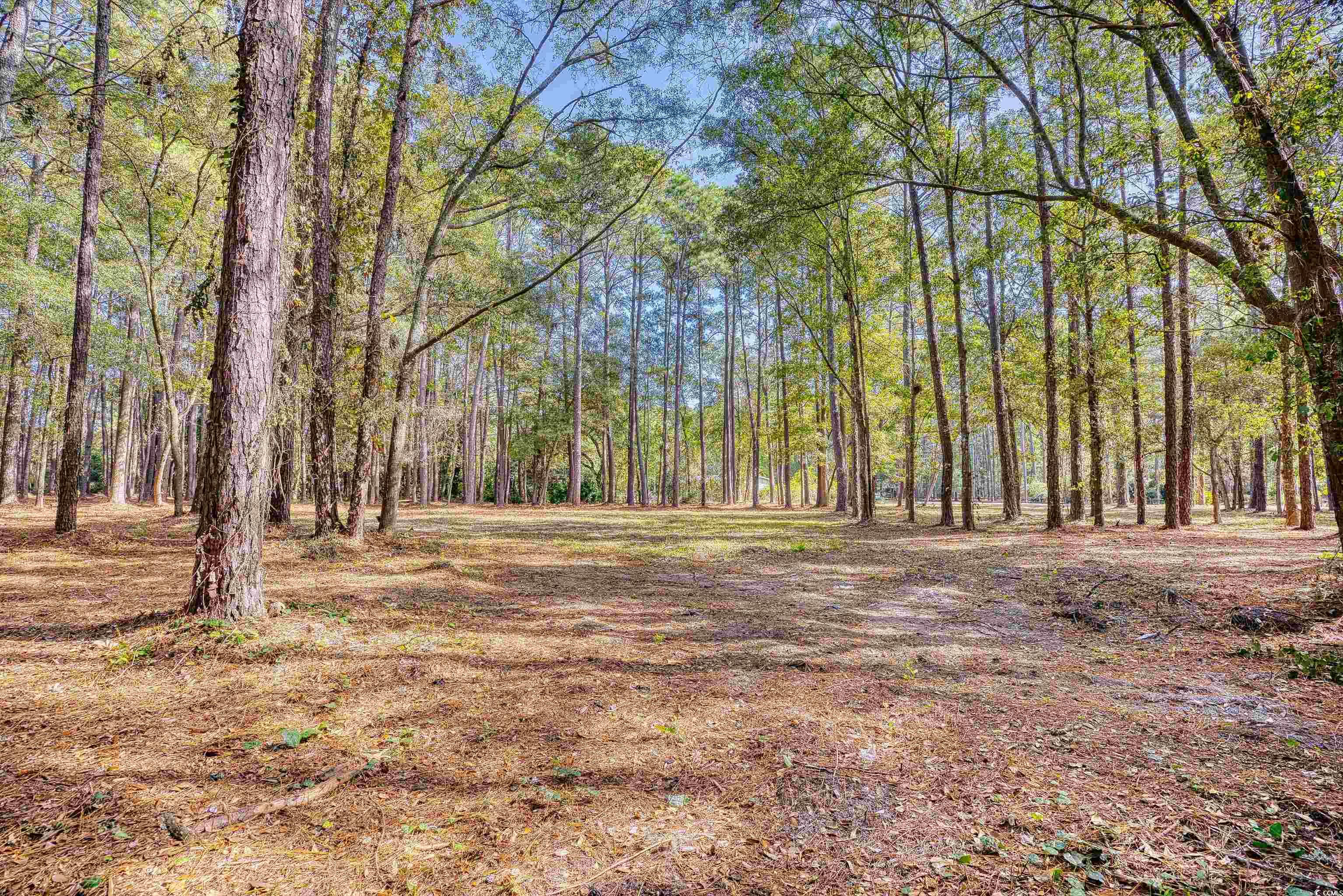 4250 Lilac Road Myrtle Beach, SC 29588 - Photo 20 of 36 View of tree filled area
