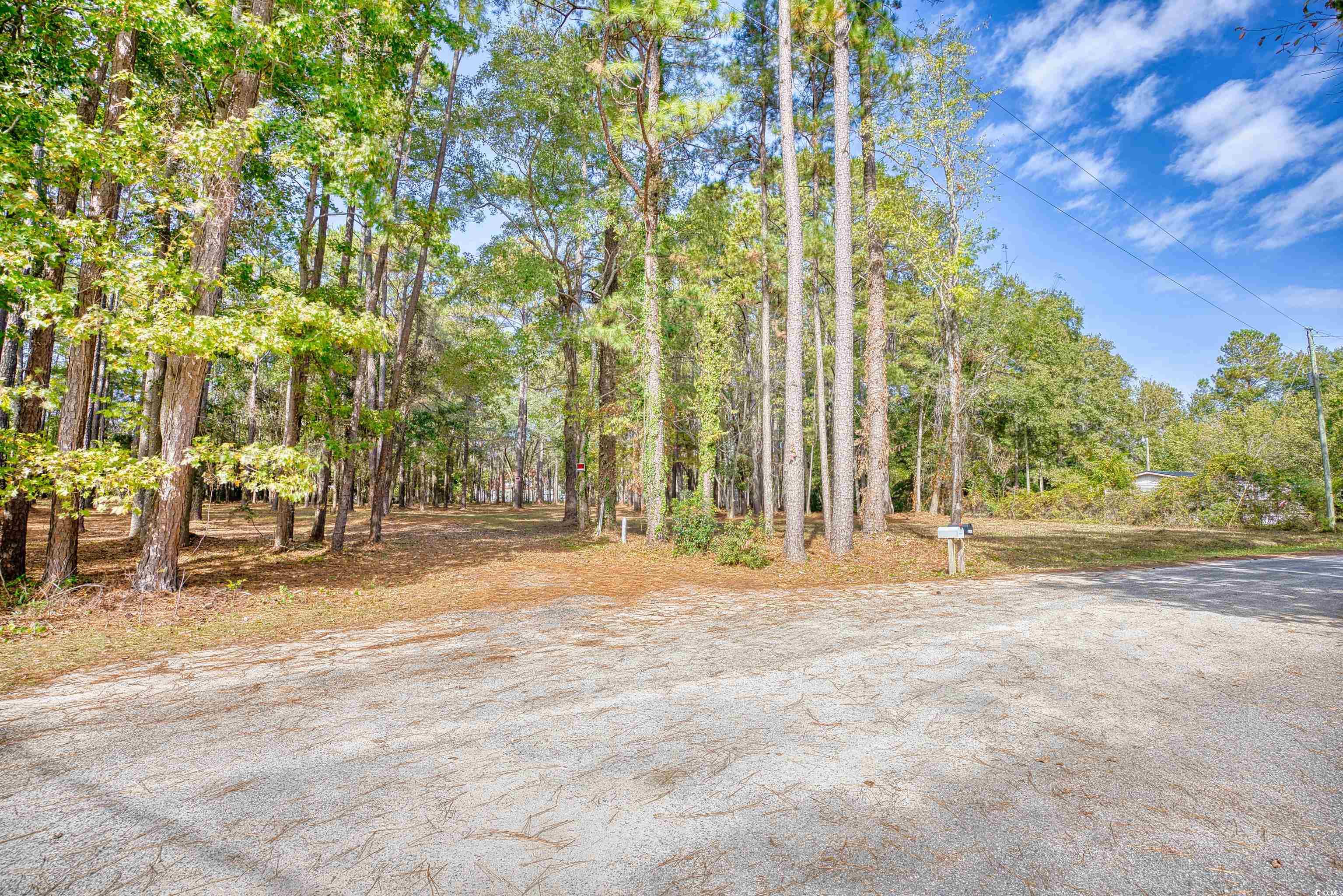 4250 Lilac Road Myrtle Beach, SC 29588 - Photo 2 of 36 View of yard featuring a forest view