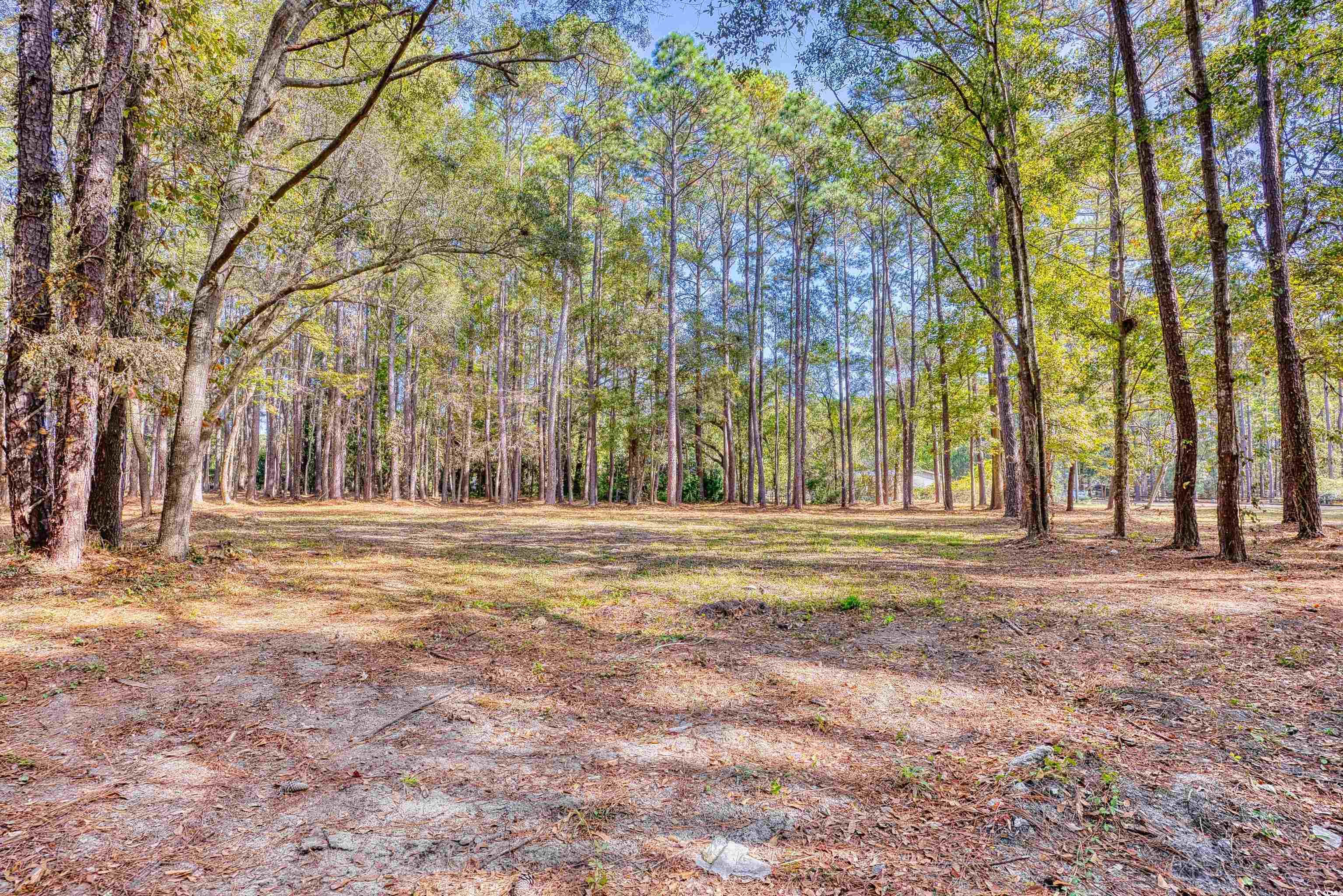 4250 Lilac Road Myrtle Beach, SC 29588 - Photo 21 of 36 View of yard with a view of trees
