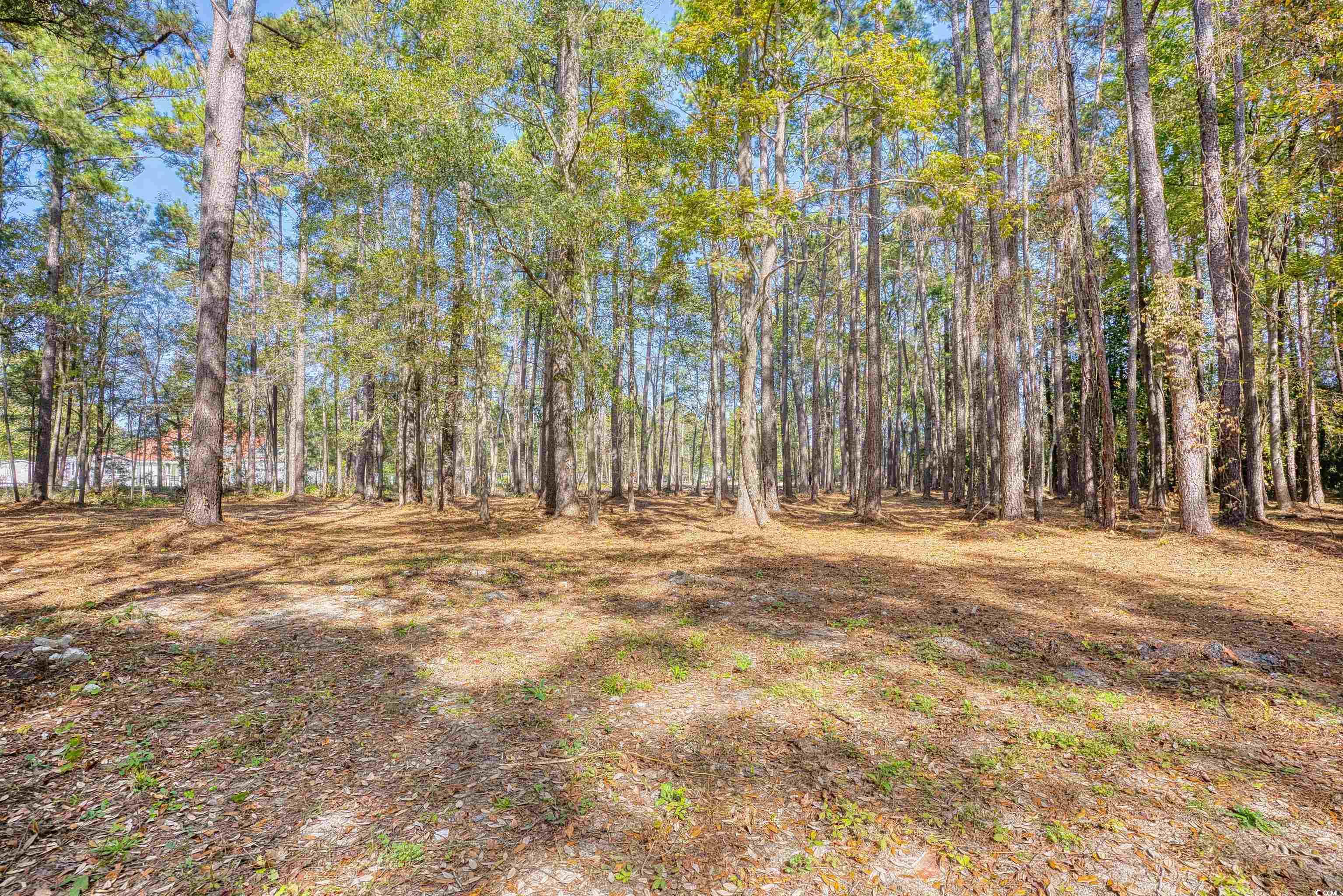 4250 Lilac Road Myrtle Beach, SC 29588 - Photo 22 of 36 View of yard featuring a forest view