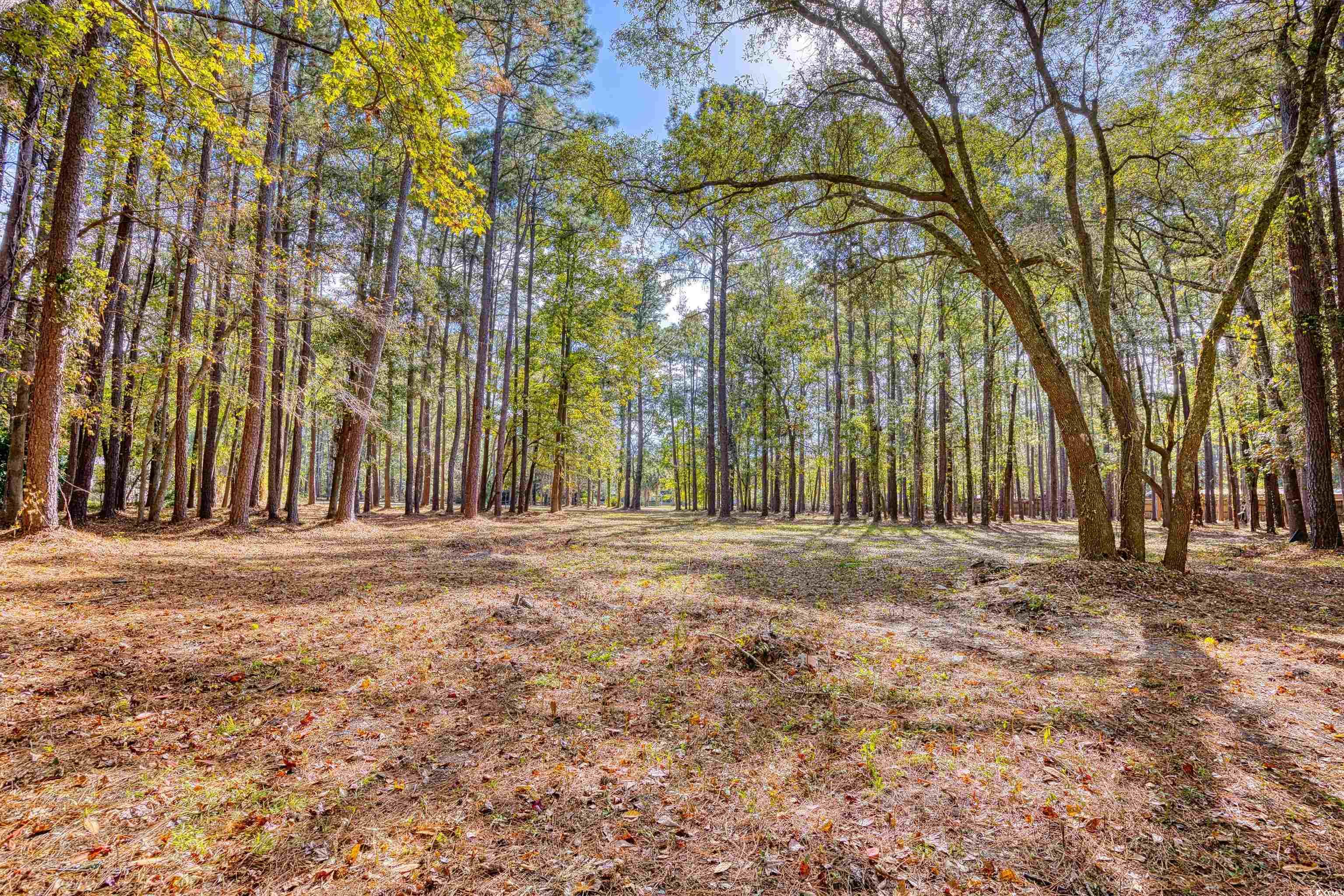 4250 Lilac Road Myrtle Beach, SC 29588 - Photo 25 of 36 View of tree filled area