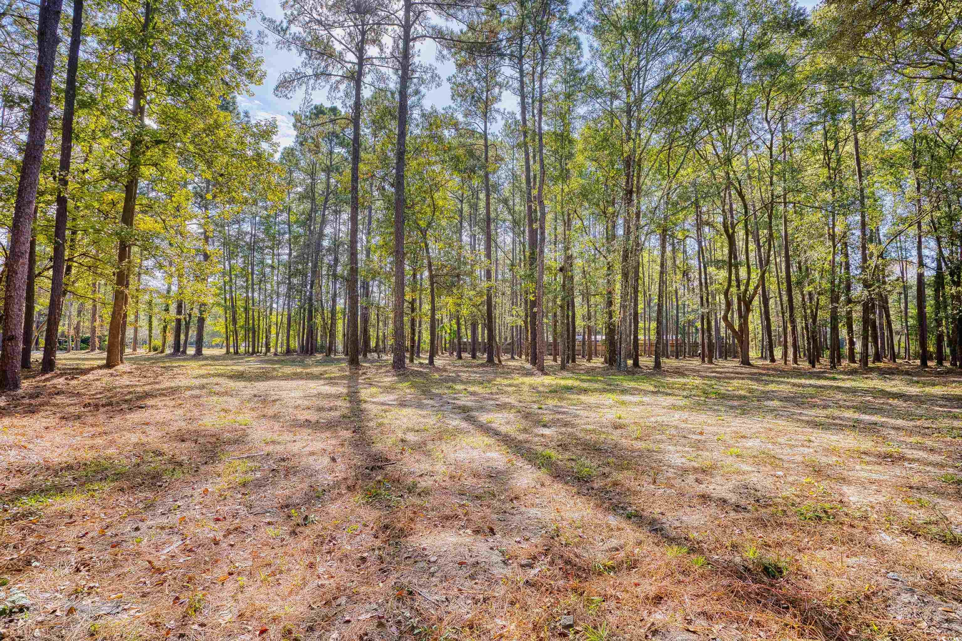 4250 Lilac Road Myrtle Beach, SC 29588 - Photo 26 of 36 View of yard with a view of trees