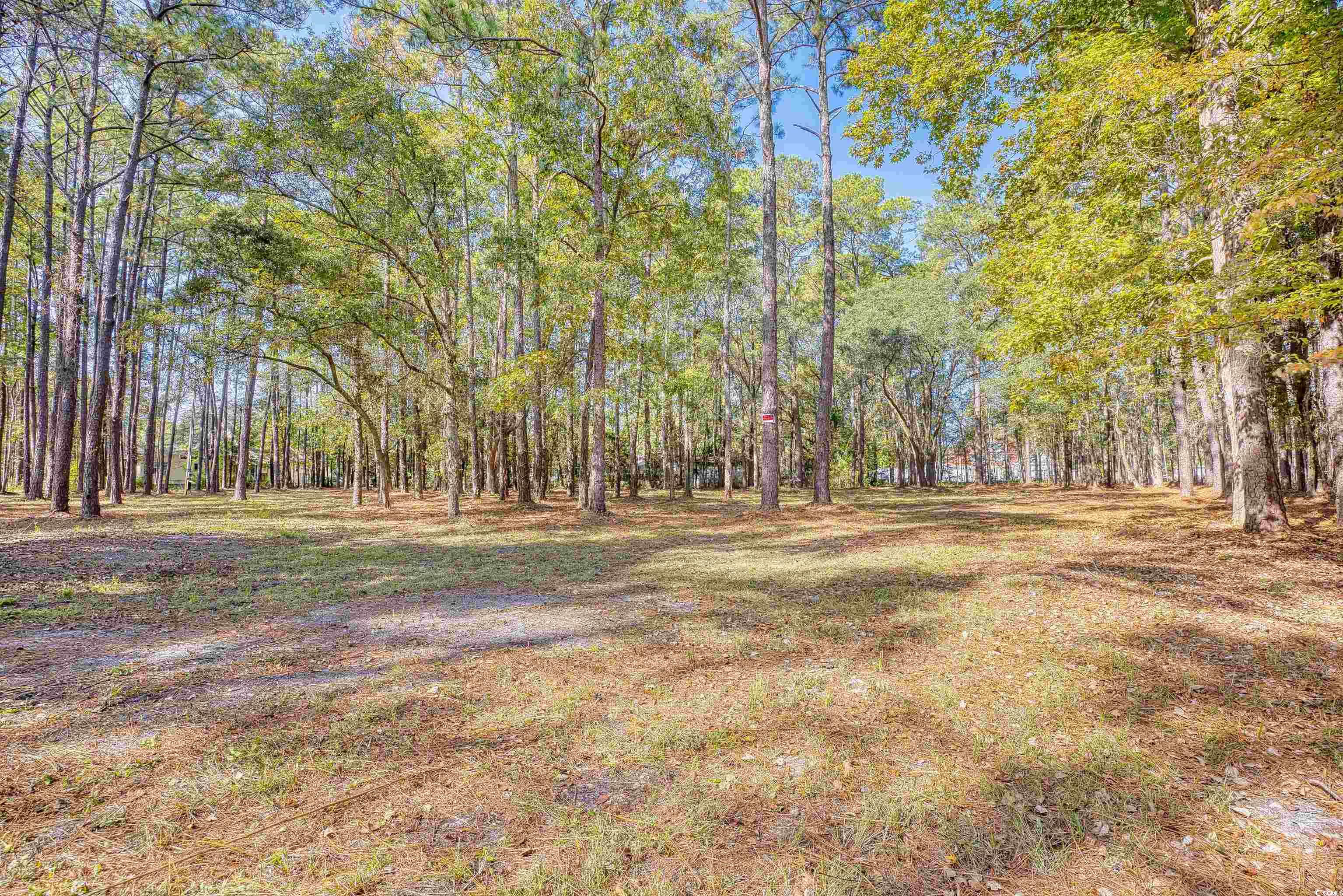 4250 Lilac Road Myrtle Beach, SC 29588 - Photo 28 of 36 View of yard