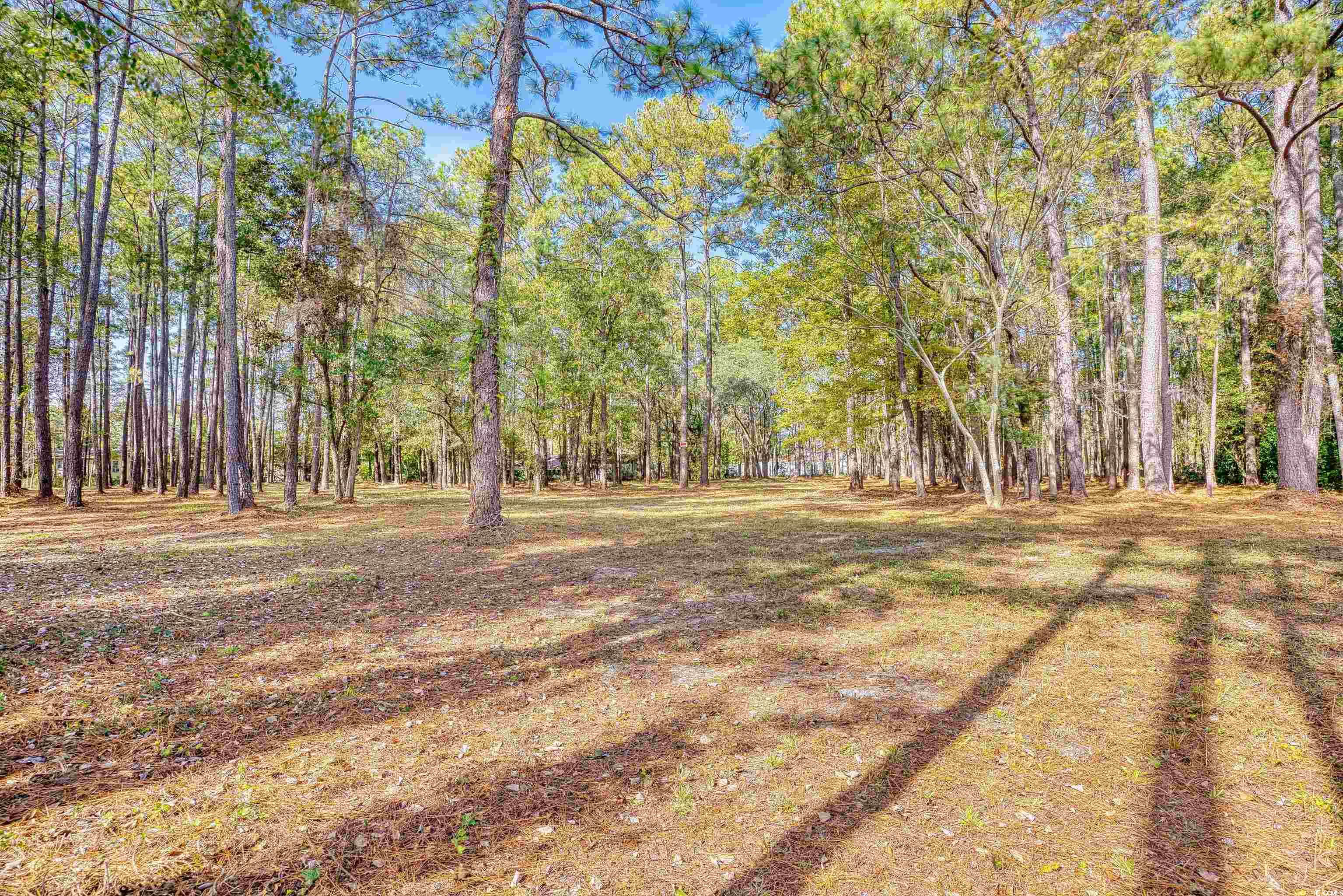 4250 Lilac Road Myrtle Beach, SC 29588 - Photo 30 of 36 View of yard featuring a view of trees