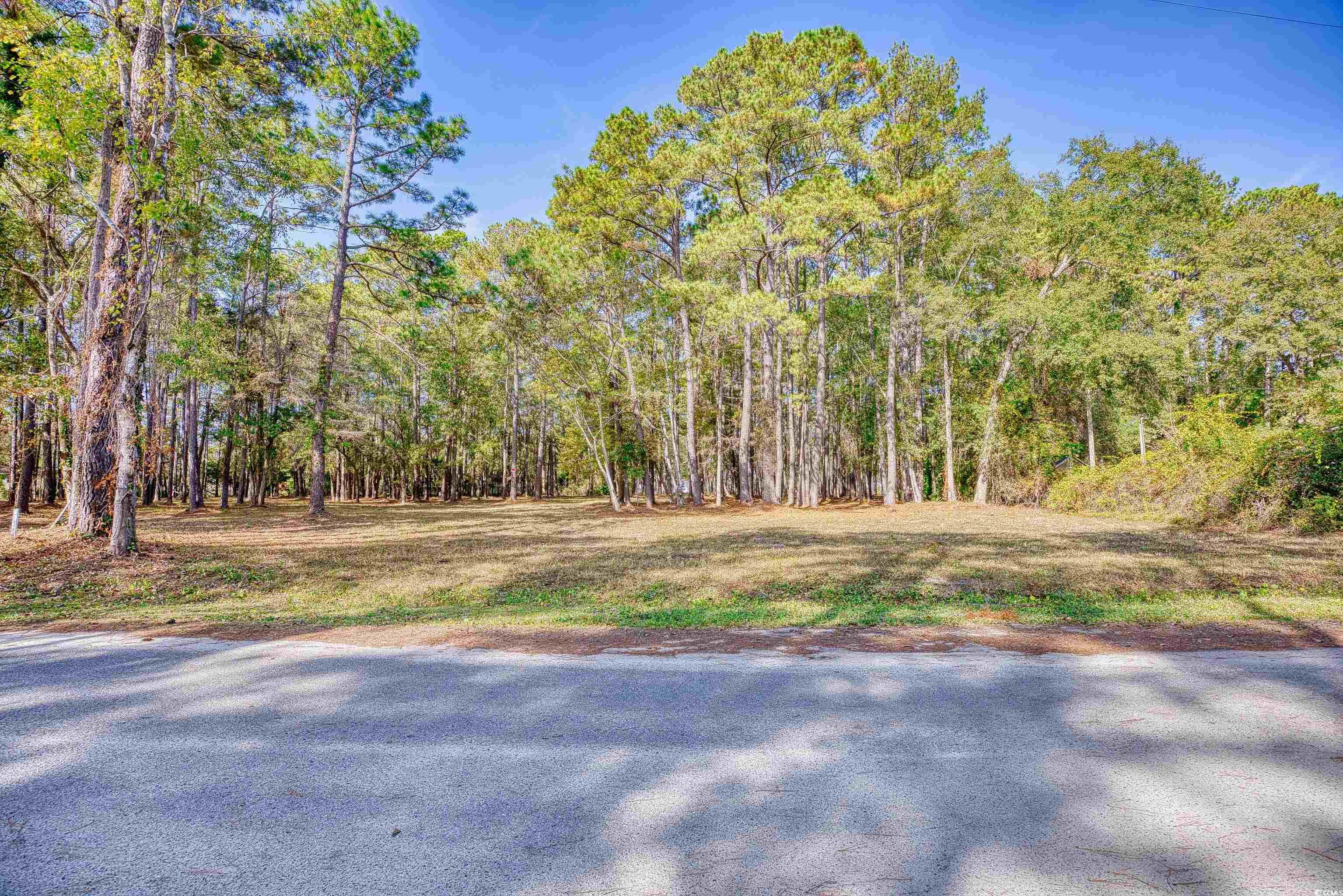 4250 Lilac Road Myrtle Beach, SC 29588 - Photo 3 of 36 View of road featuring a wooded view