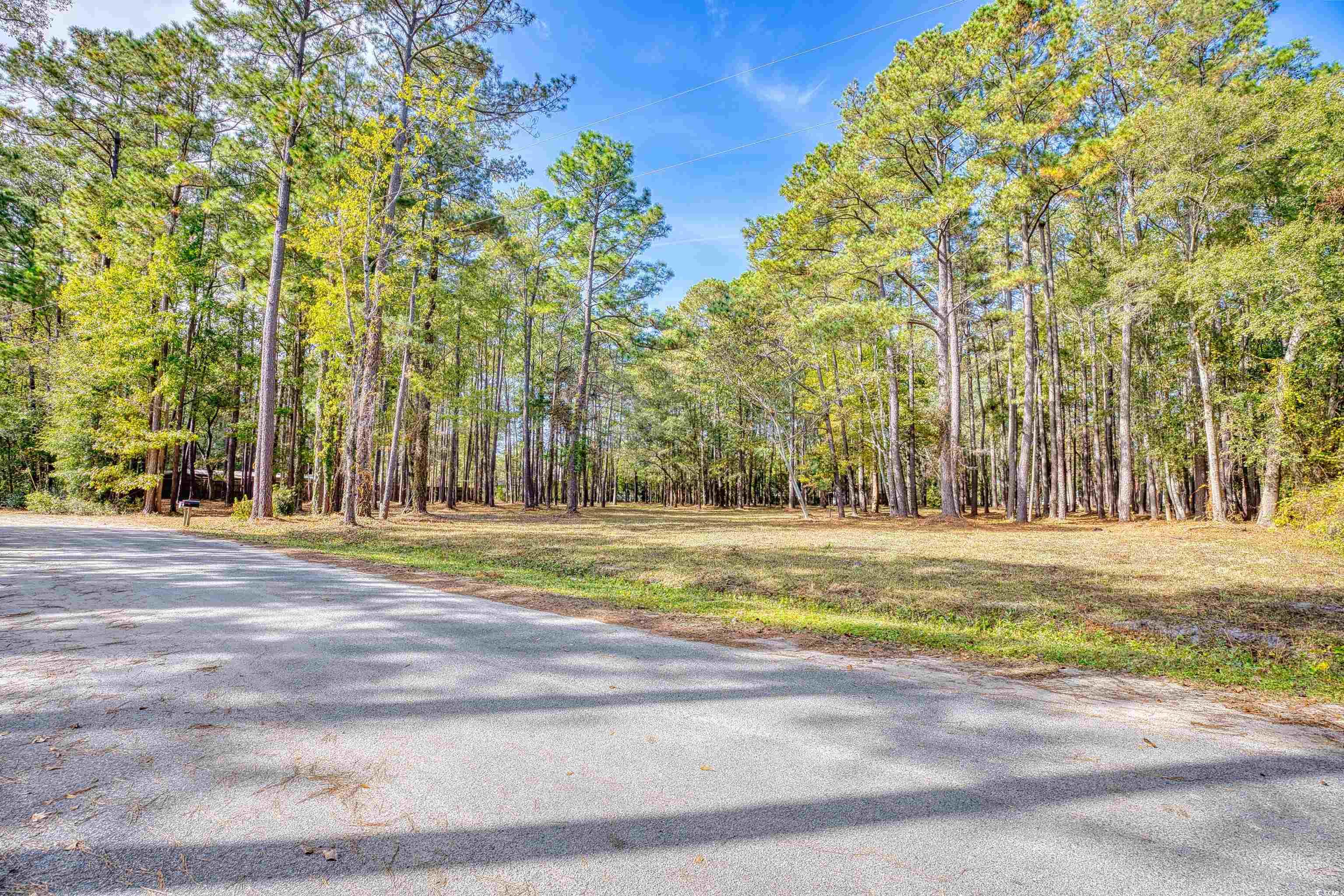 4250 Lilac Road Myrtle Beach, SC 29588 - Photo 32 of 36 View of asphalt street with a wooded view