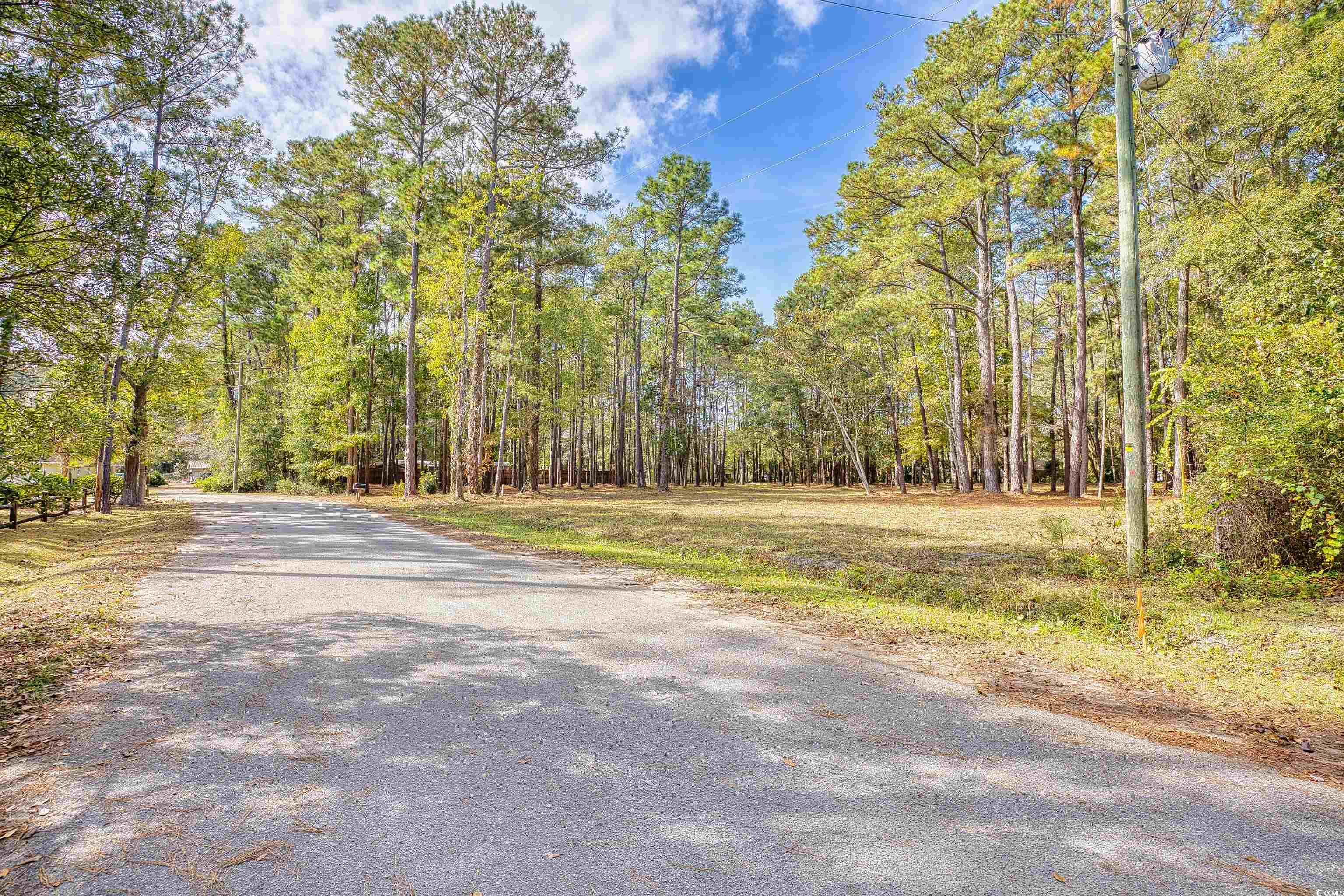 4250 Lilac Road Myrtle Beach, SC 29588 - Photo 33 of 36 View of asphalt road featuring a forest view