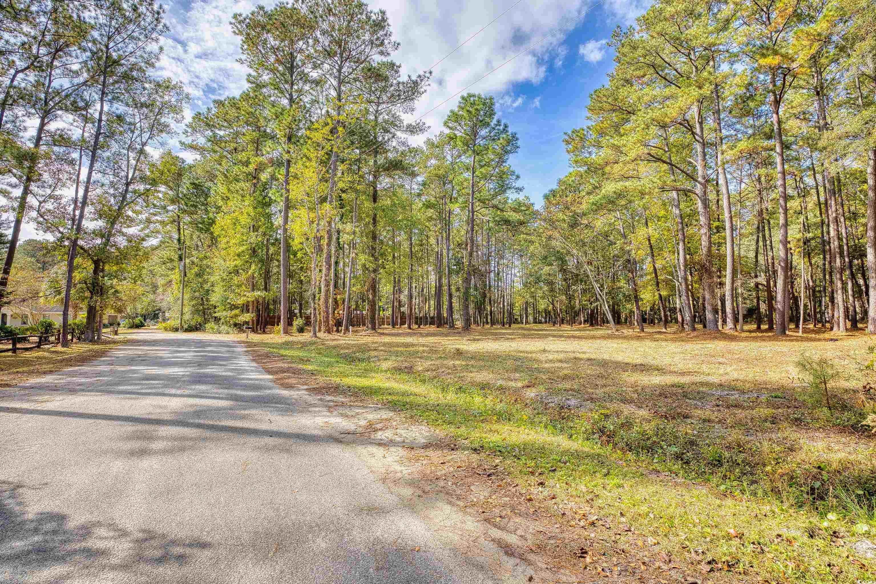 4250 Lilac Road Myrtle Beach, SC 29588 - Photo 35 of 36 View of asphalt street with a forest view
