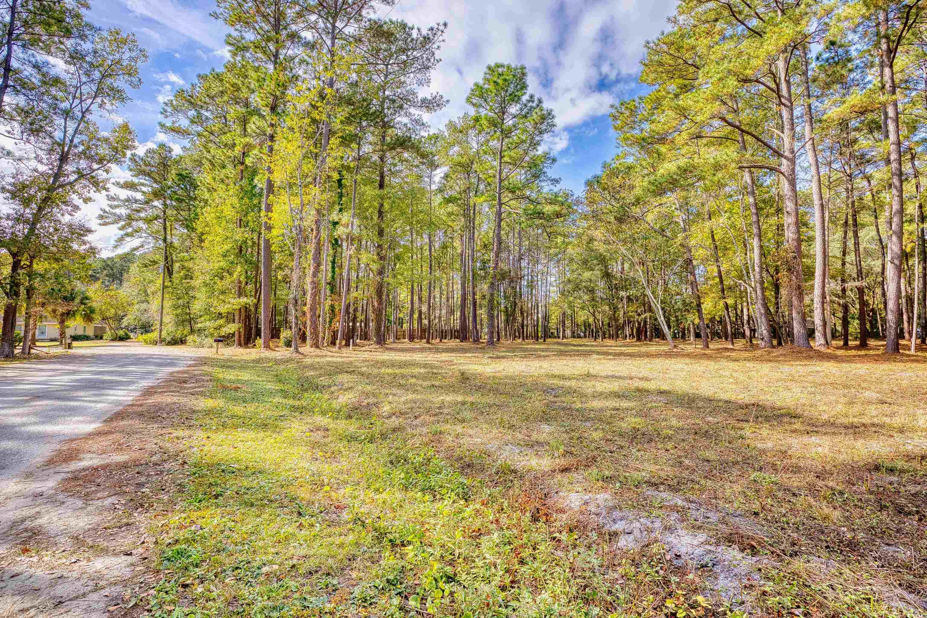 4250 Lilac Road Myrtle Beach, SC 29588 - Photo 36 of 36 View of green lawn with a view of trees