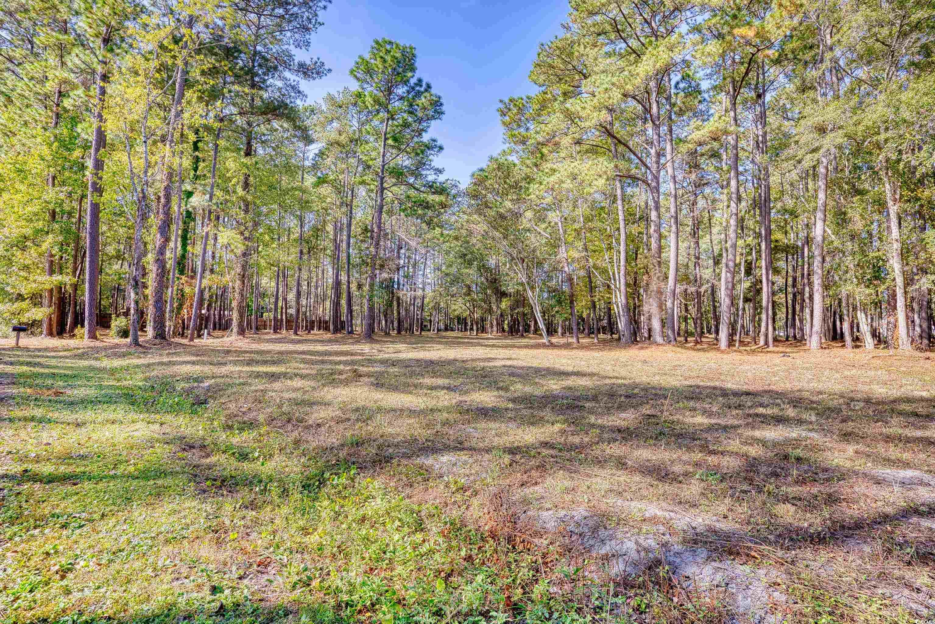 4250 Lilac Road Myrtle Beach, SC 29588 - Photo 4 of 36 View of grassy yard