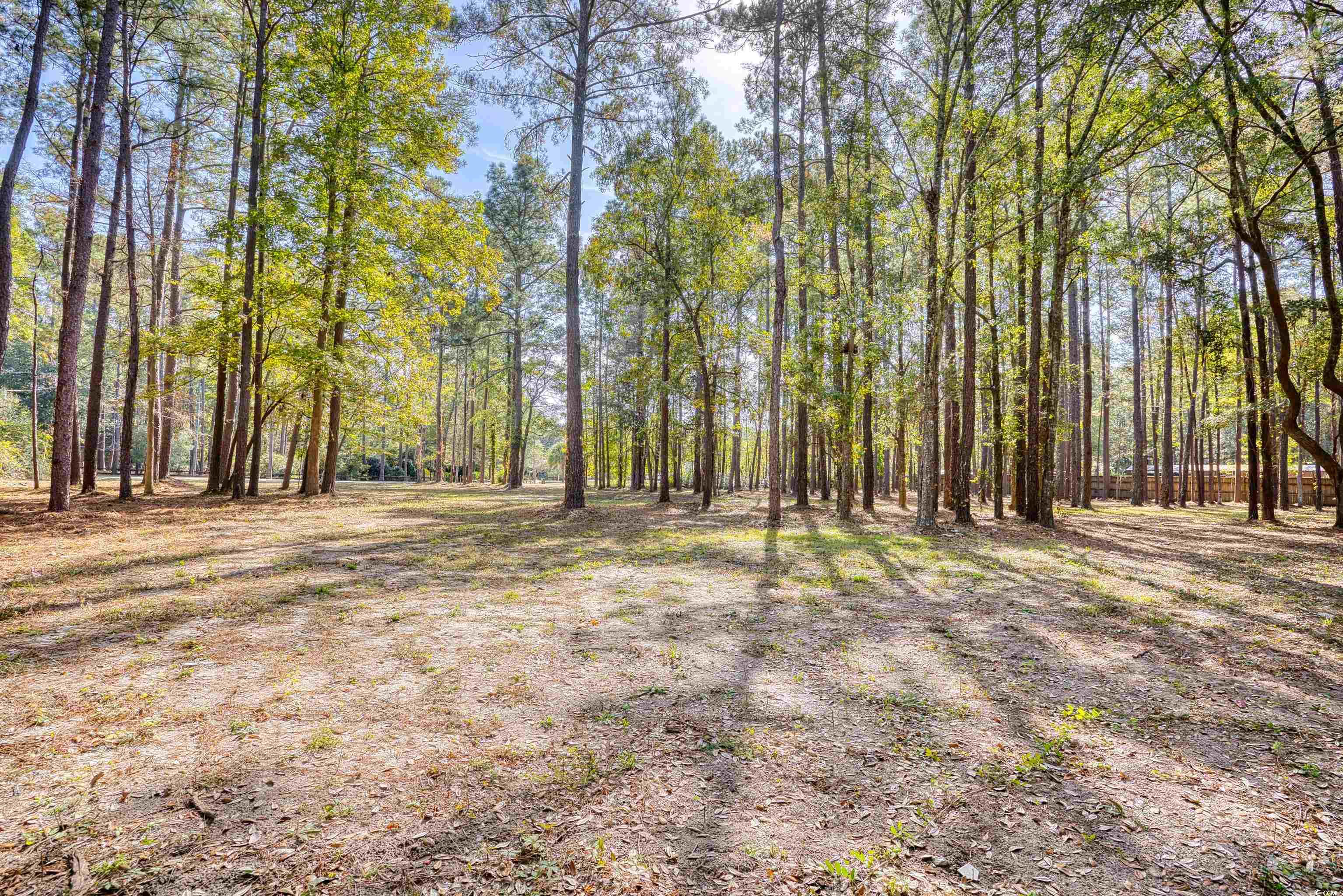 4250 Lilac Road Myrtle Beach, SC 29588 - Photo 7 of 36 View of yard with a forest view