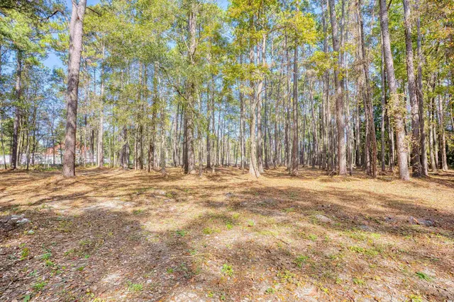 $435,000 | 4250 Lilac Road, Myrtle Beach, SC 29588