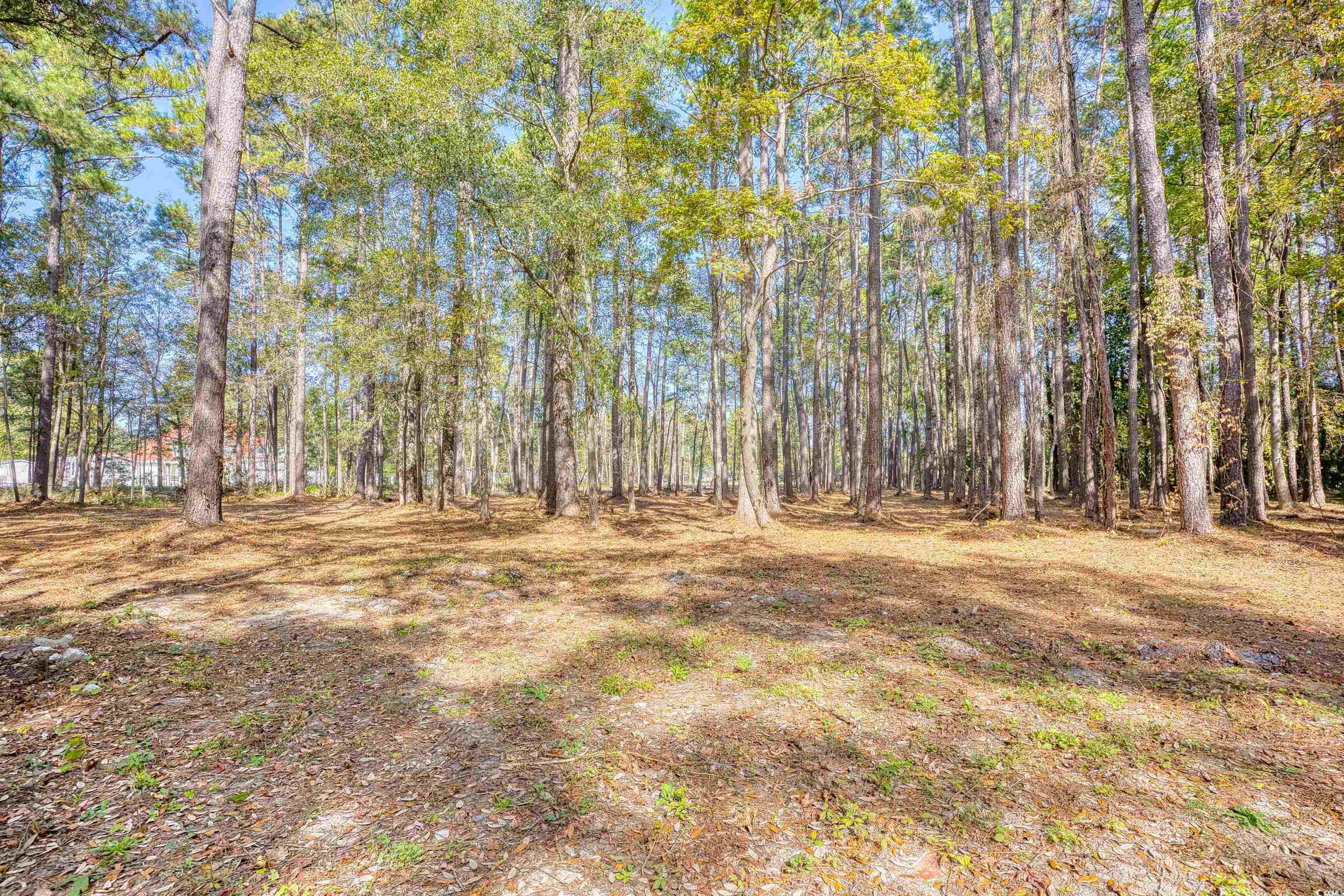 4250 Lilac Road Myrtle Beach, SC 29588 - Photo 8 of 36 View of yard featuring a wooded view