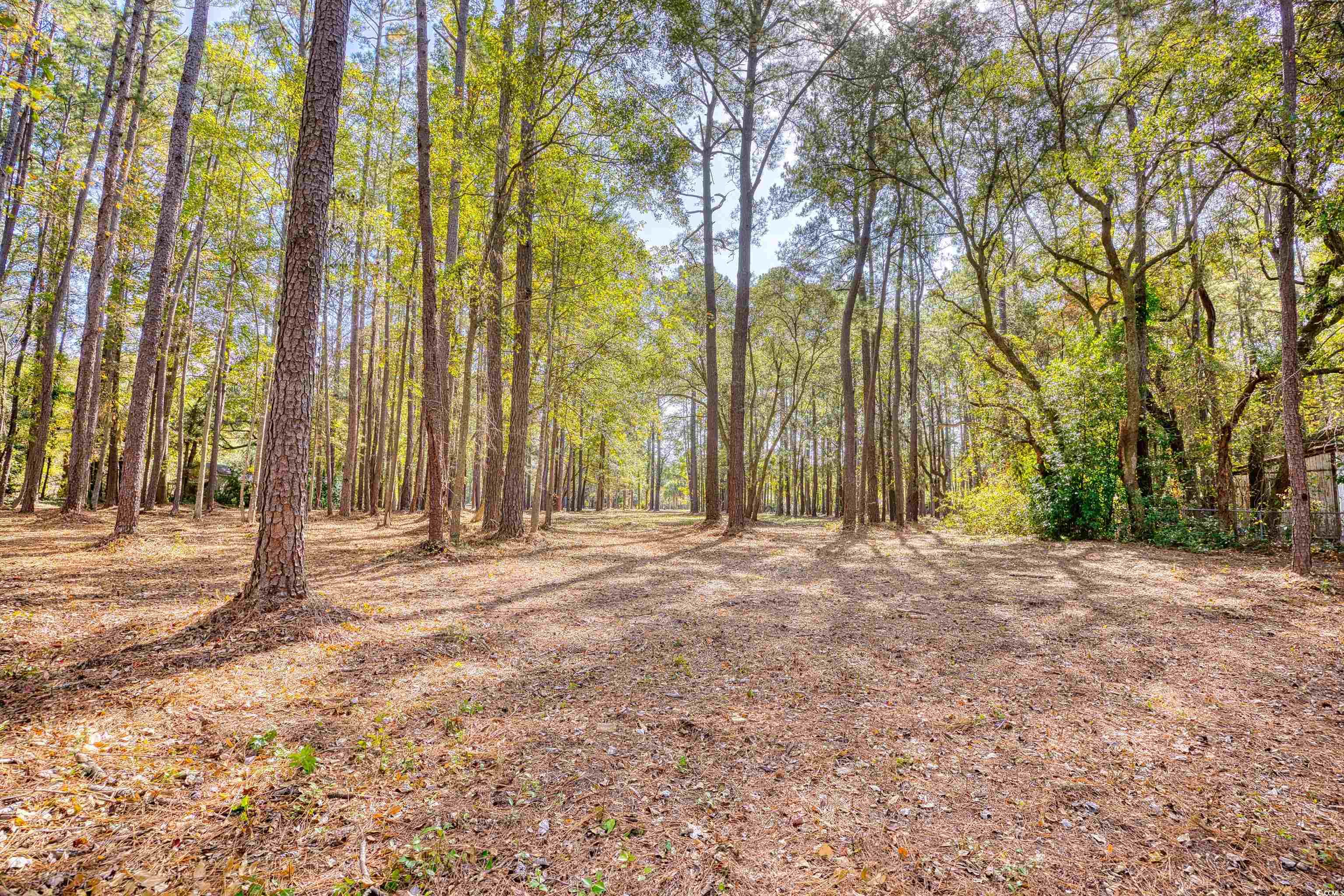 4250 Lilac Road Myrtle Beach, SC 29588 - Photo 9 of 36 View of yard featuring a wooded view
