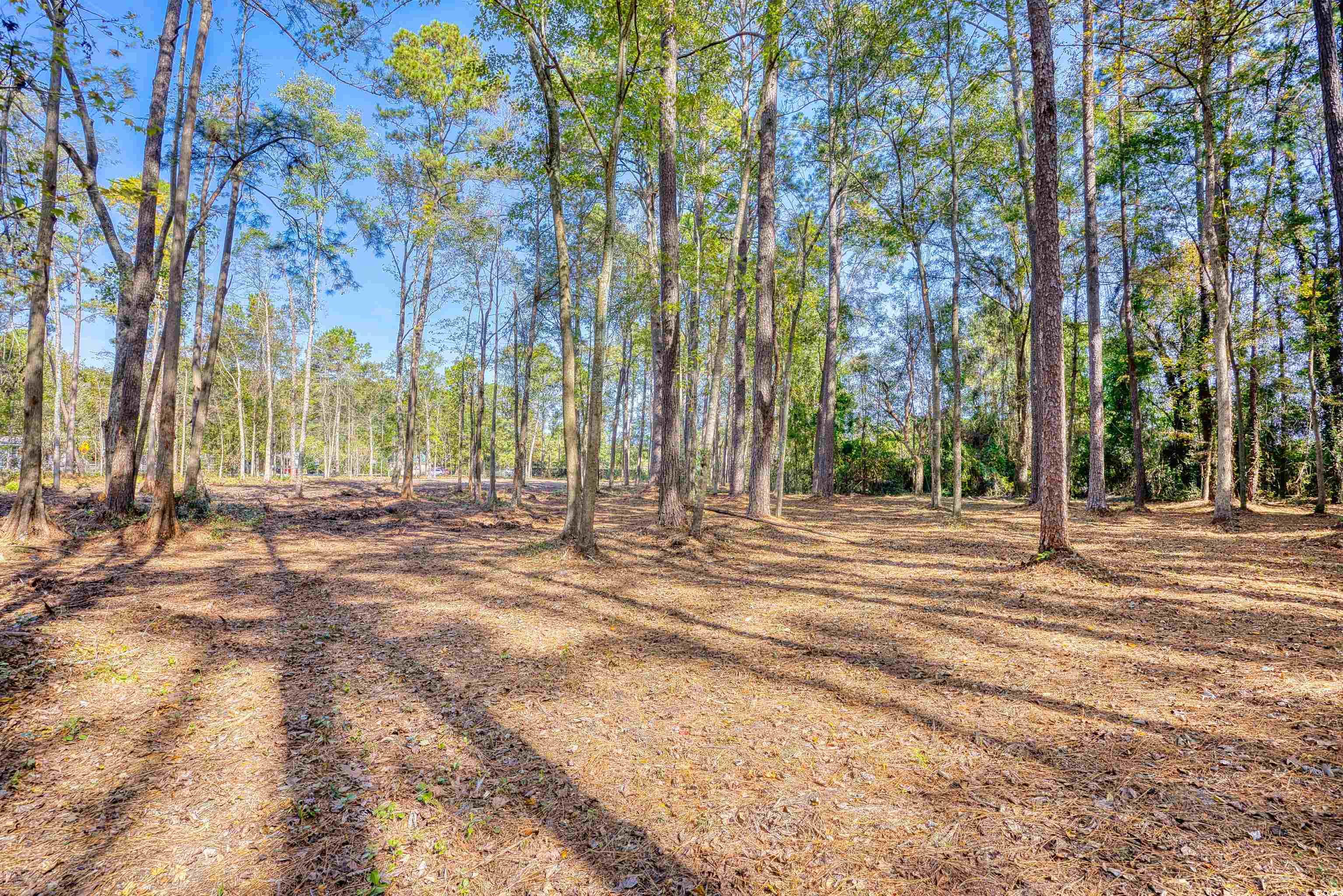 4250 Lilac Road Myrtle Beach, SC 29588 - Photo 10 of 36 View of yard featuring a wooded view