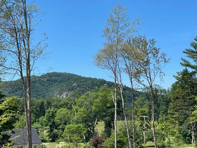 $1,399,000 | 16 Burdett Road, Bartlett, NH 03845