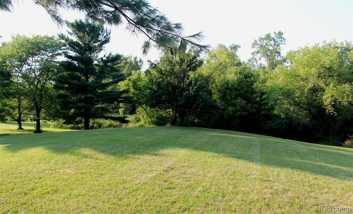 7135 Allen Road Fenton, MI 48430 - Photo 24 of 32 Yard East (2).jpg