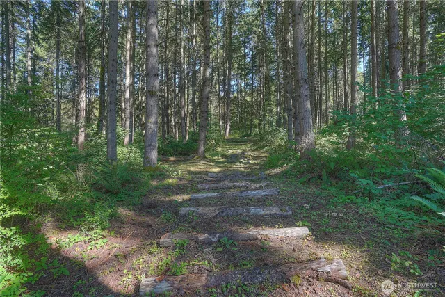 a view of backyard with green space