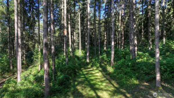 $1,150,000 | 32408 146th Avenue East, Graham, WA 98338