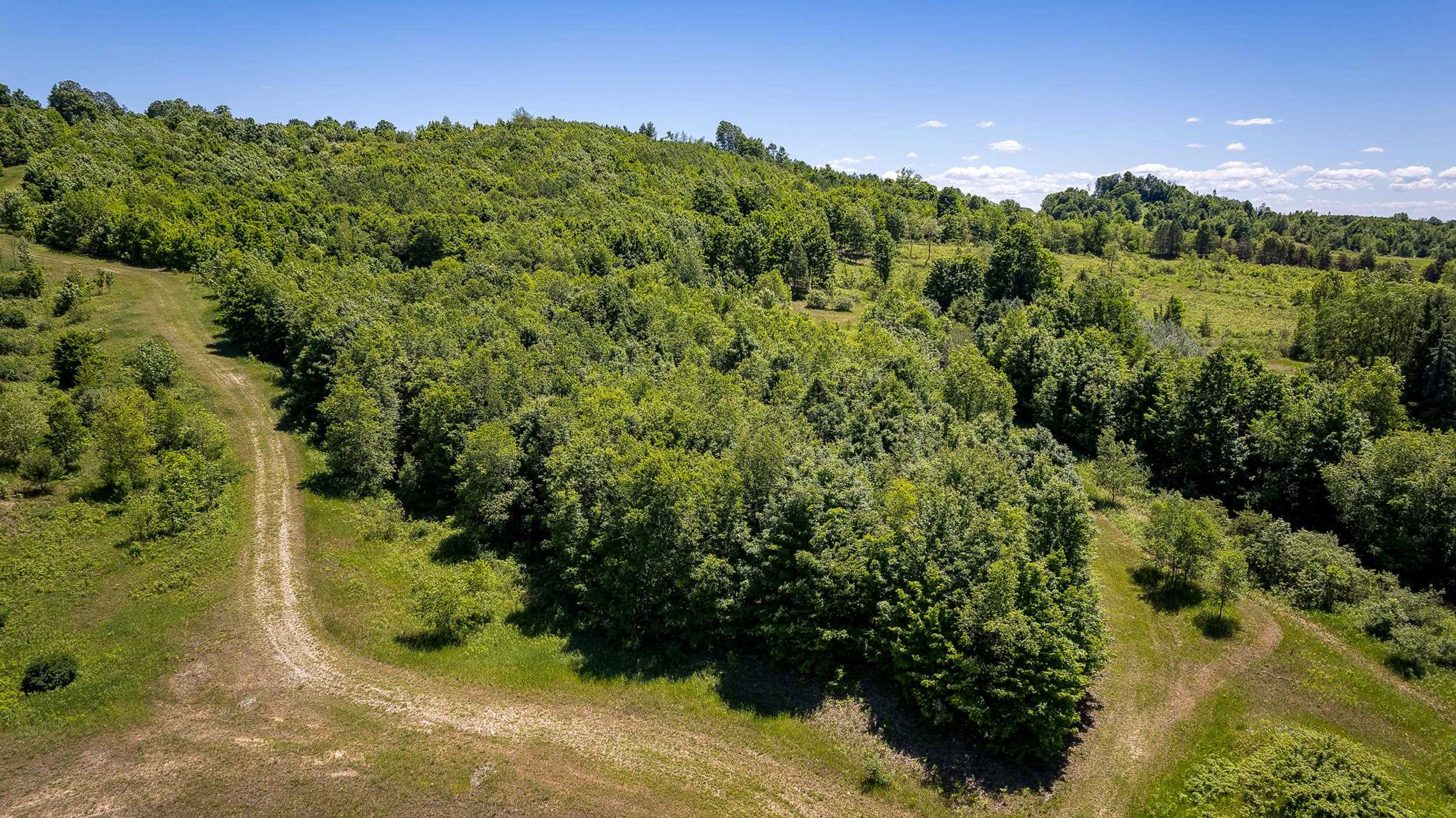 0 Nessen City Road Copemish, MI 49625 - Photo 3 of 17